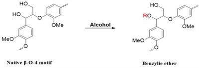 Toward a Fundamental Understanding of the Role of Lignin in the Biorefinery Process